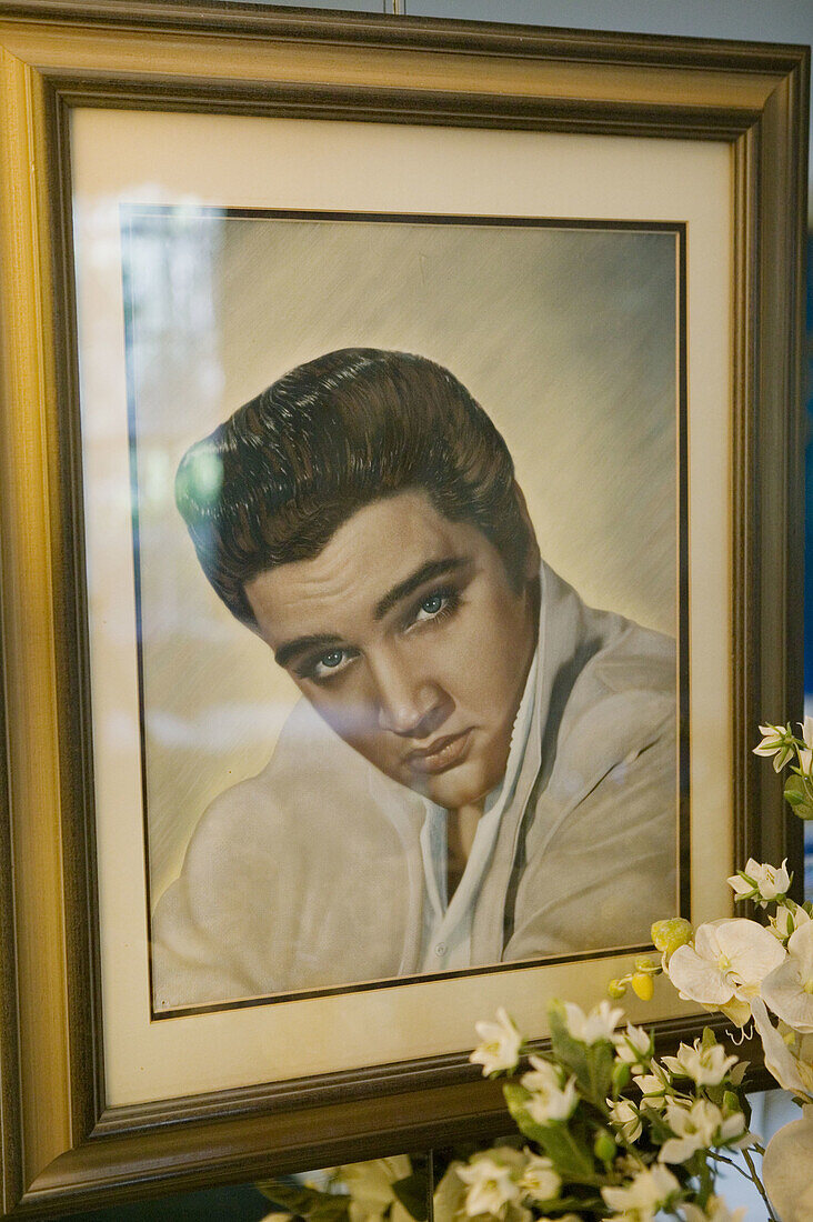 Portrait of Elvis, Former Residence of Elvis Presley, Graceland, Memphis. Tennessee, USA