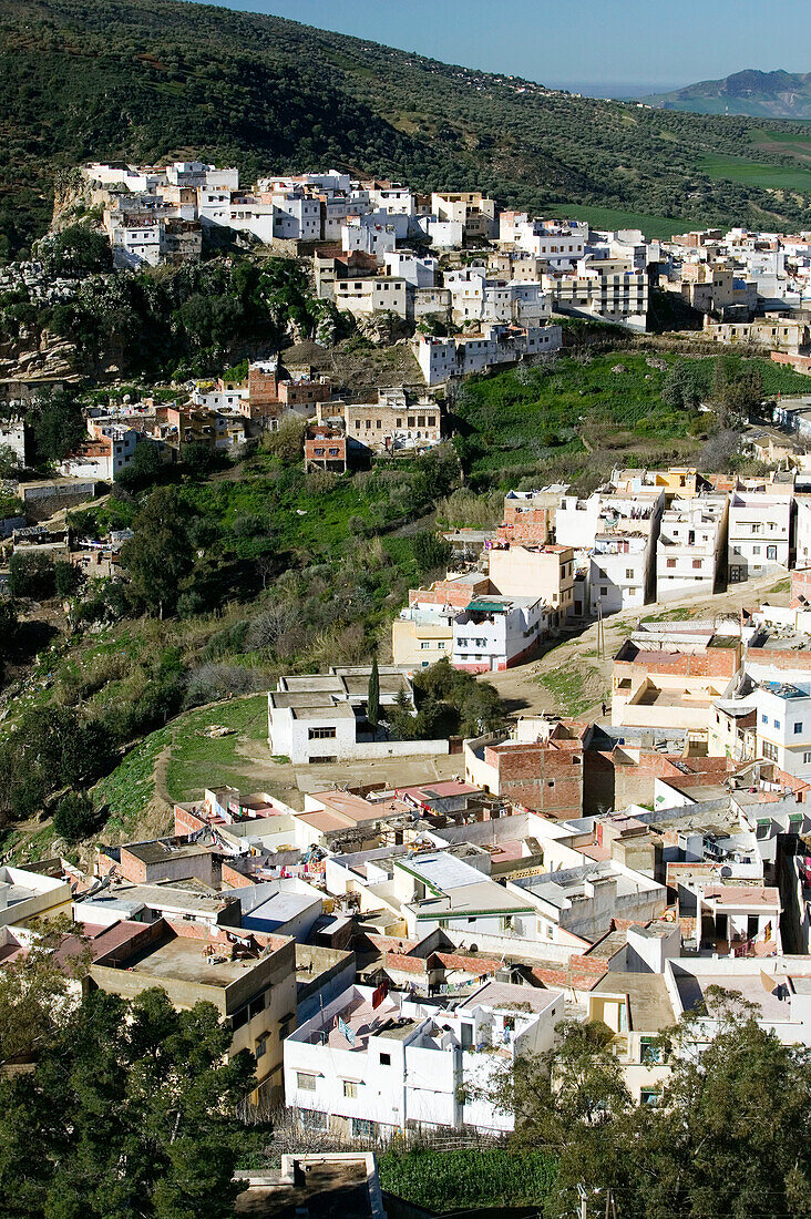 Morocco-Moulay-Idriss: Town View / Morning