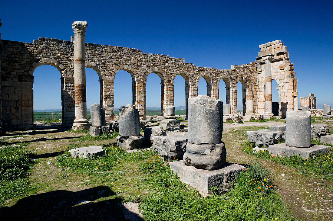 Morocco-Volubilis: Roman Town mostly dating to 2nd & 3rd c. AD/ Abandoned by Romans in 280 AD - Basilica