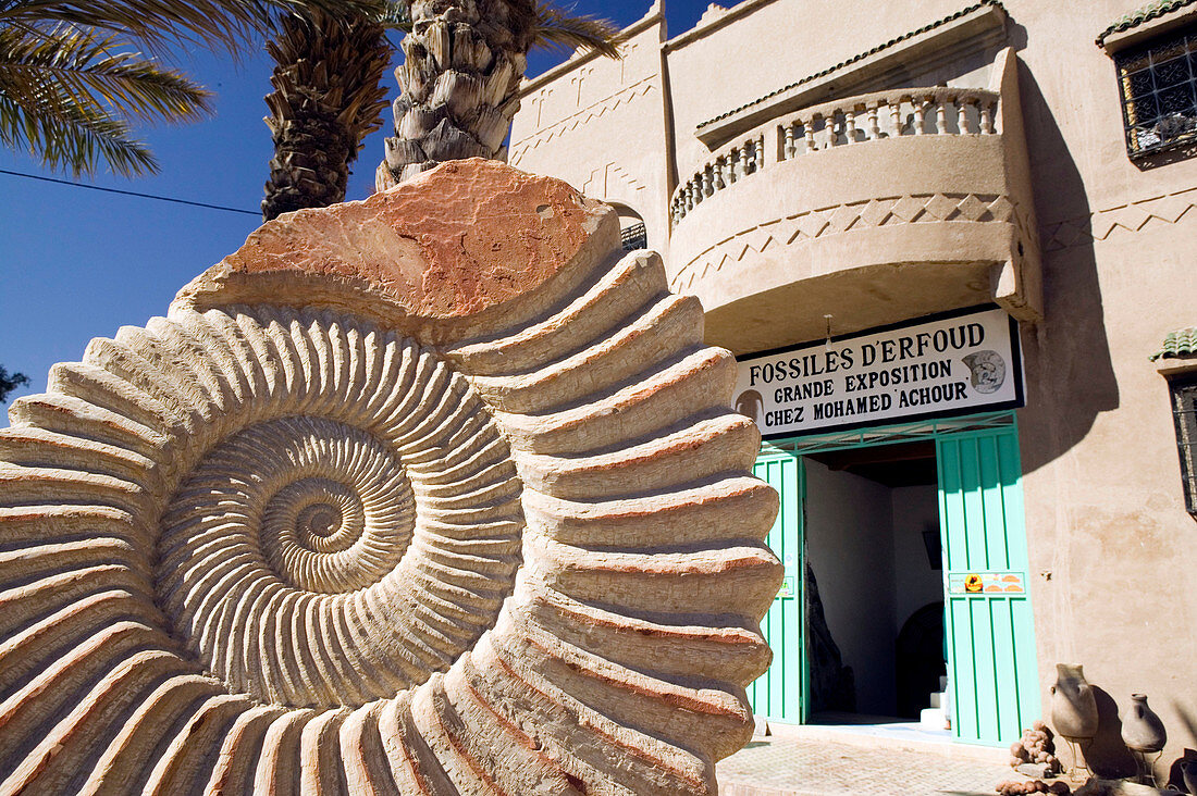 Fossil Shop. Erfoud. Ziz valley. Morocco.