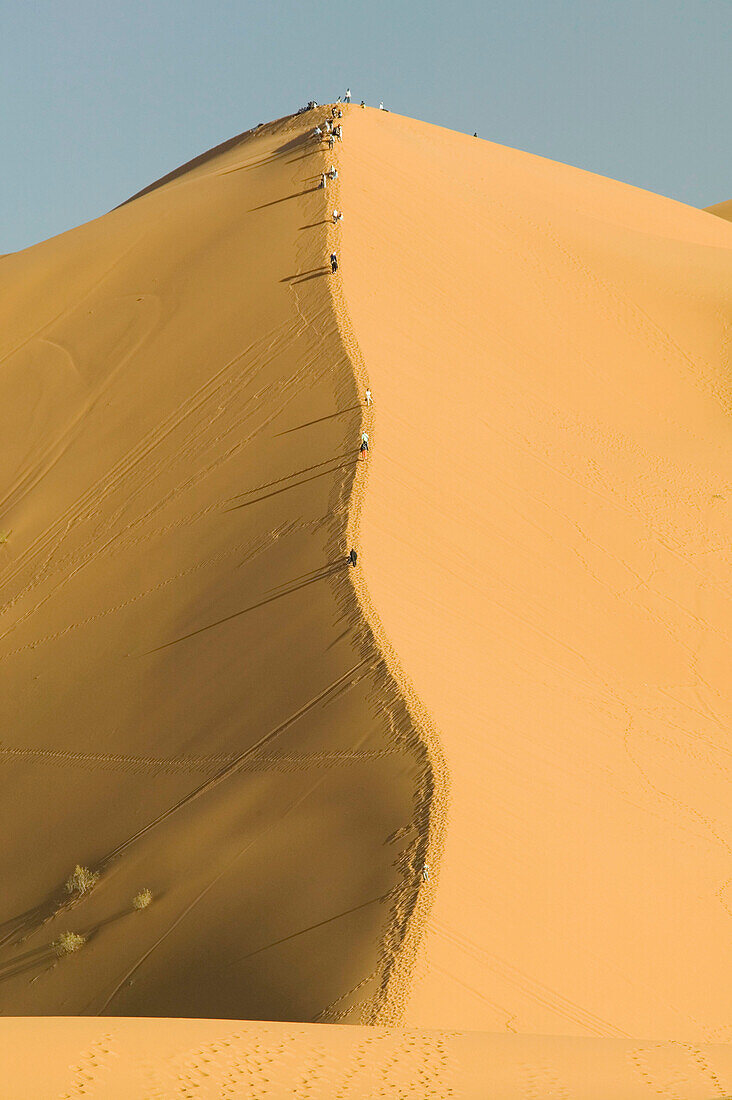 Erg Chebbi Dunes (up to 400 ft in height). Merzouga. Tafilalet. Morocco.