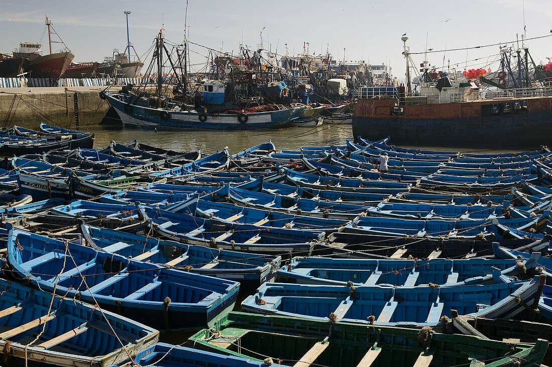 Morocco. Atlantic Coast. Essaouira. Fishing Fleet