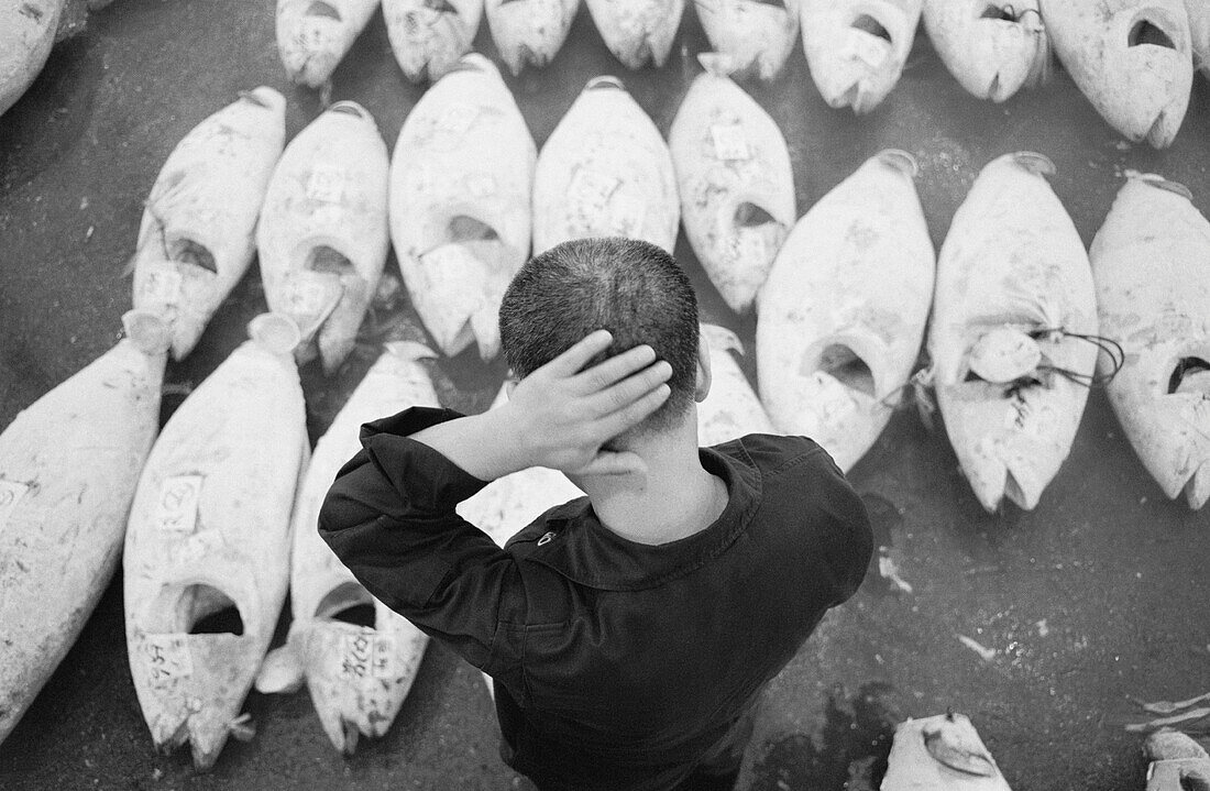 Tuna fish auction. Tsukiji market. Tokyo. Japan