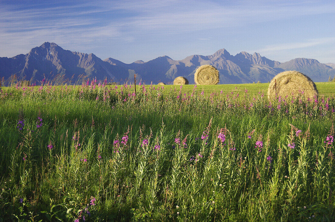 farmland, Alaska