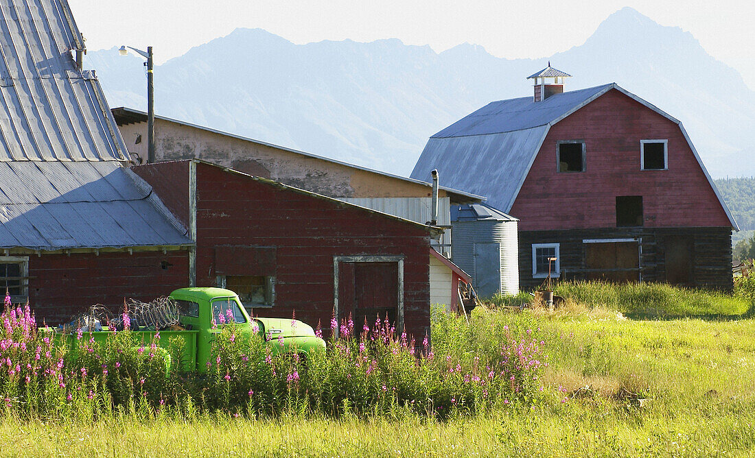 Alaska farmscape
