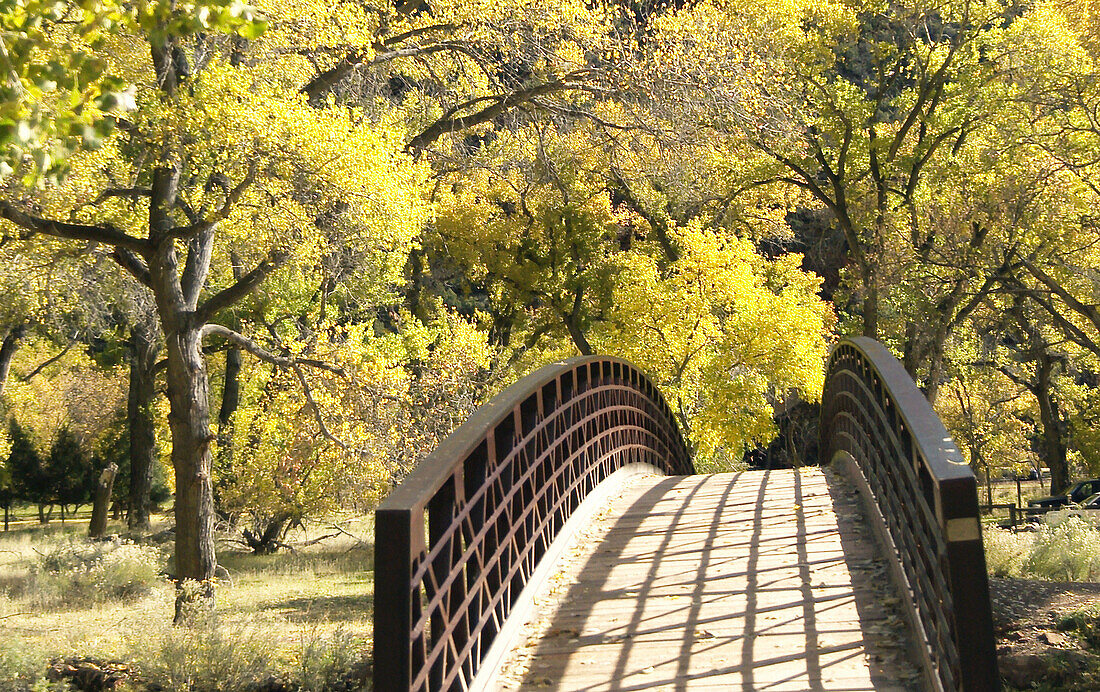 Autumn bridge. Zion National Park in Utah, USA