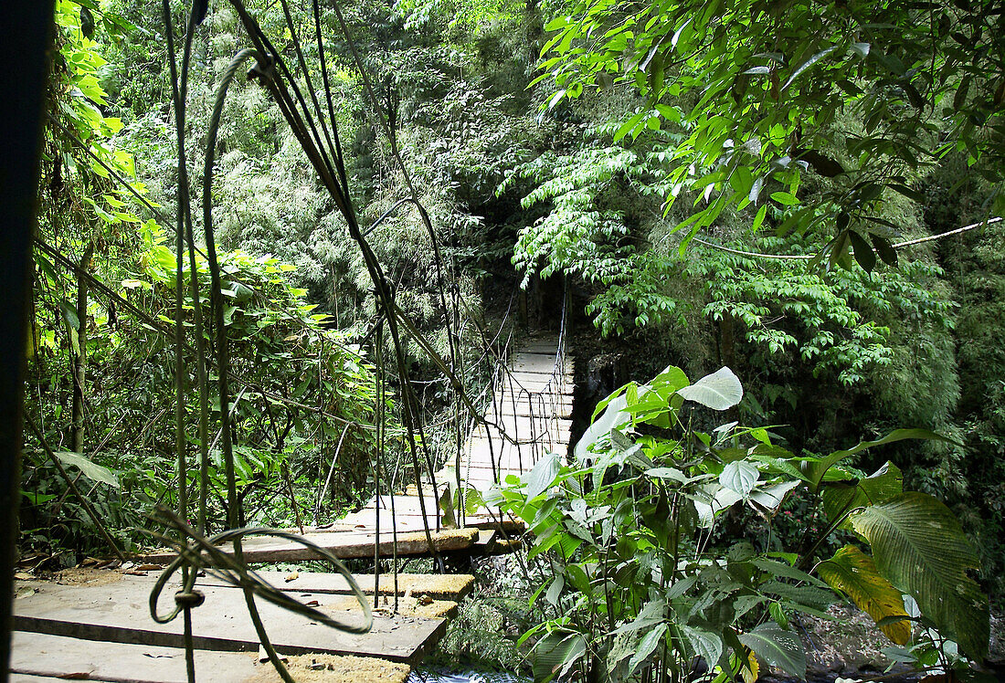 wood suspension bridge, Costa Rica