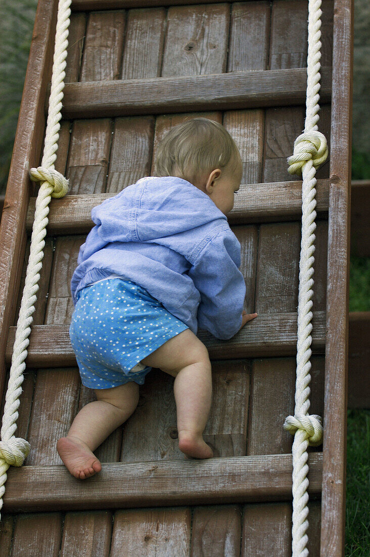 Baby climbing ladder