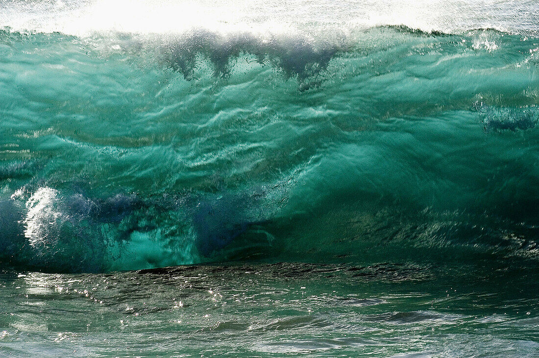 Backlit wave, Oahu. Hawaii, USA