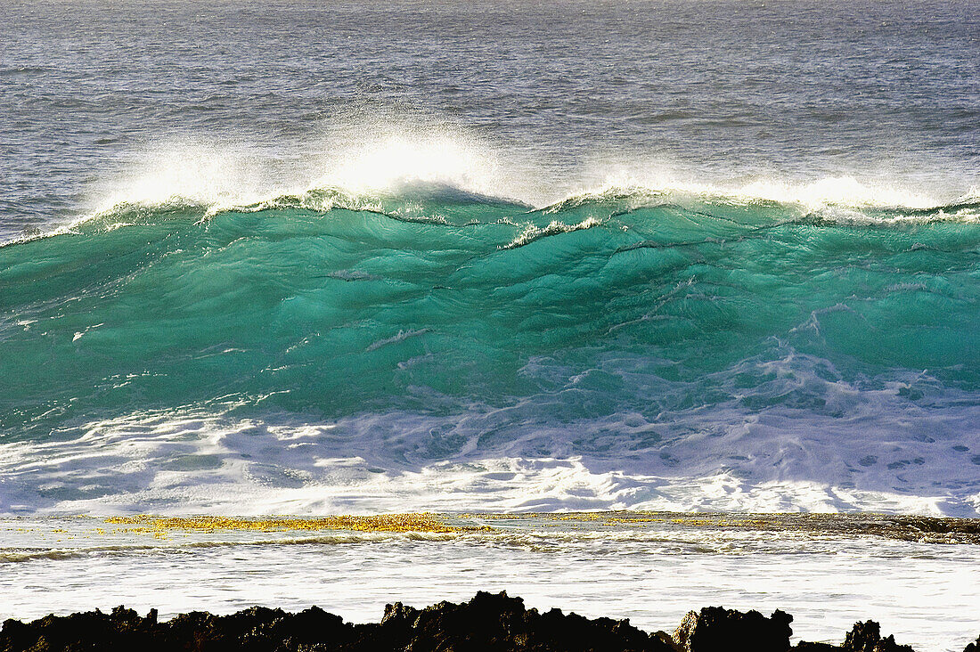 Ocean wave, Oahu. Hawaii, USA