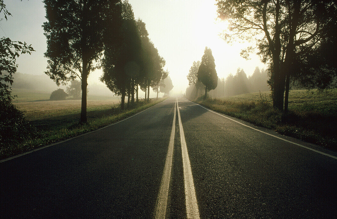 Misty morning light and road woith yellow lines. Philadelphia, Pennsylvania, USA