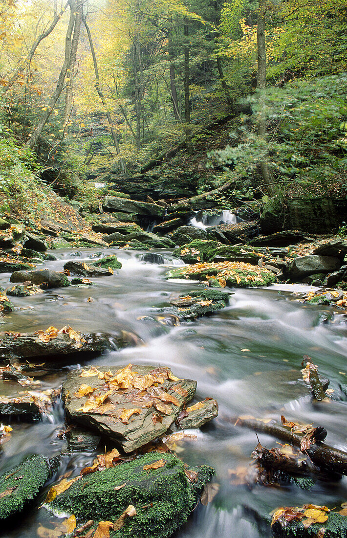 Waterfalls and cascading water in fall, USA