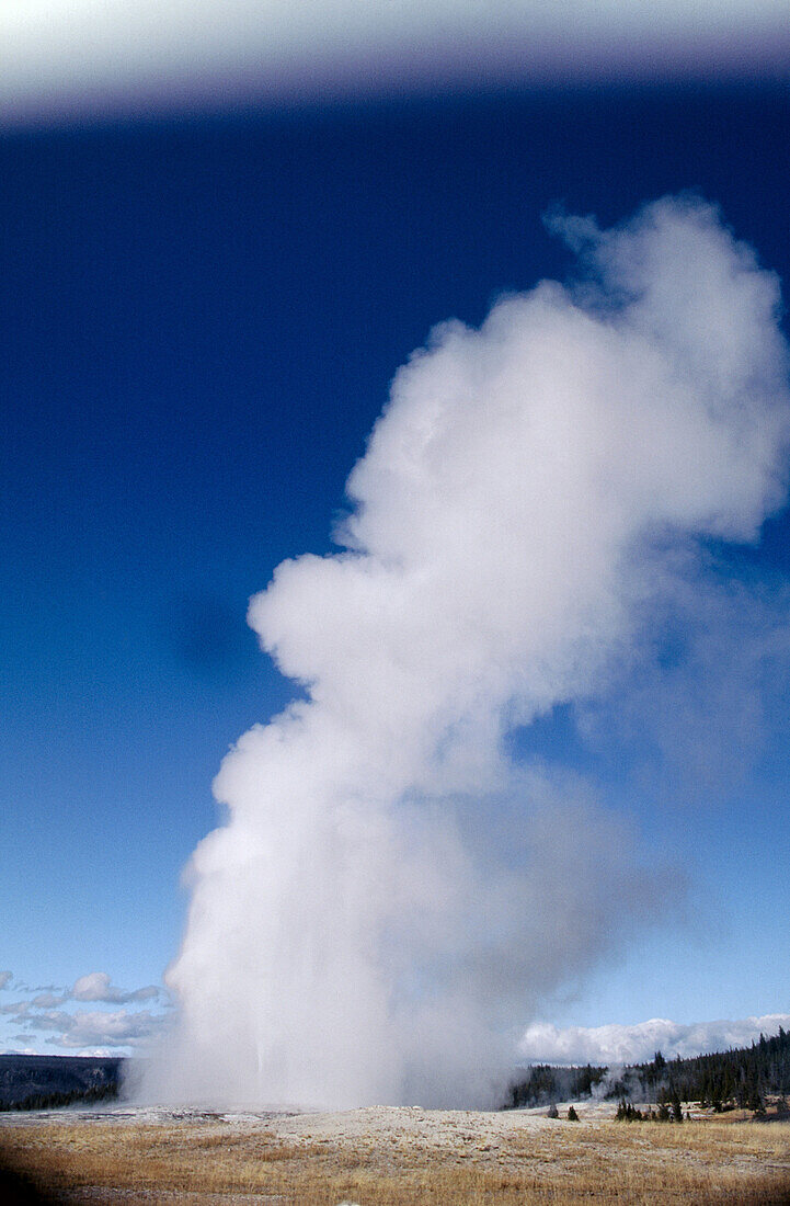 Old Faithful geyser, Yellowstone National Park. Wyoming, USA