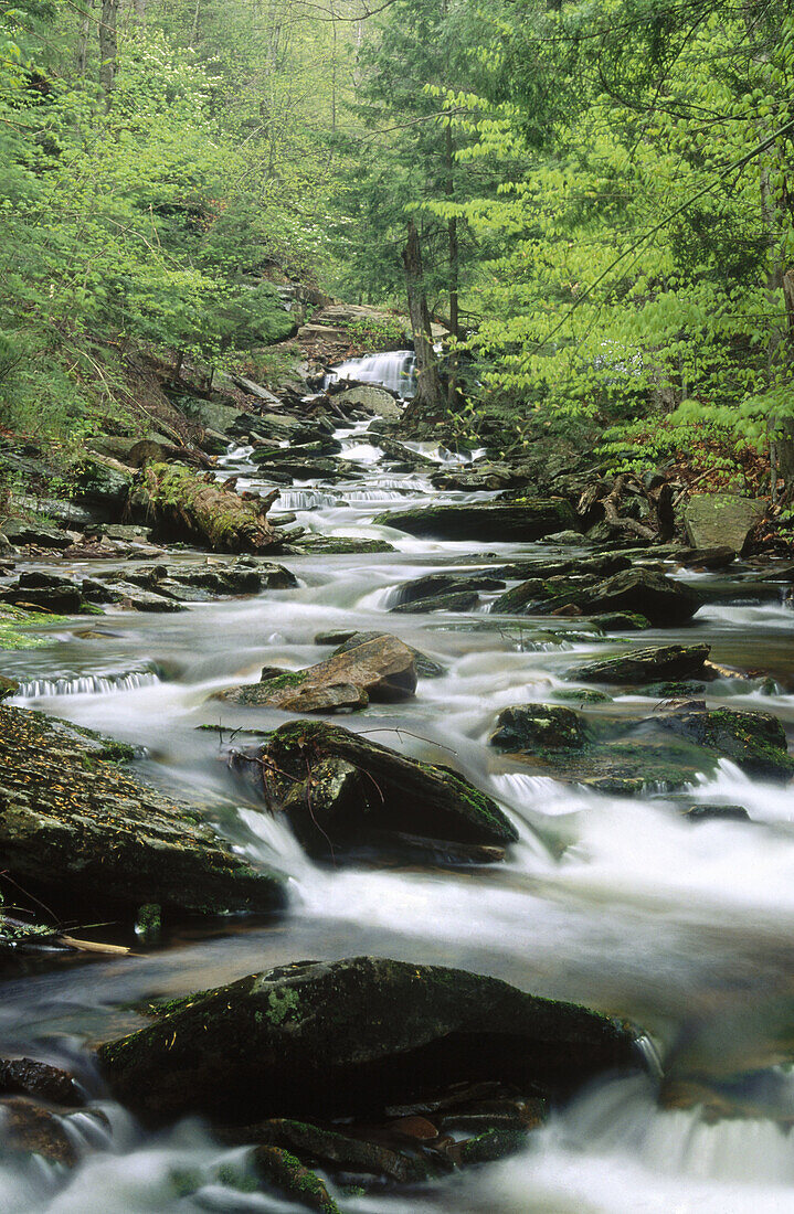 Cascading waterfalls. USA