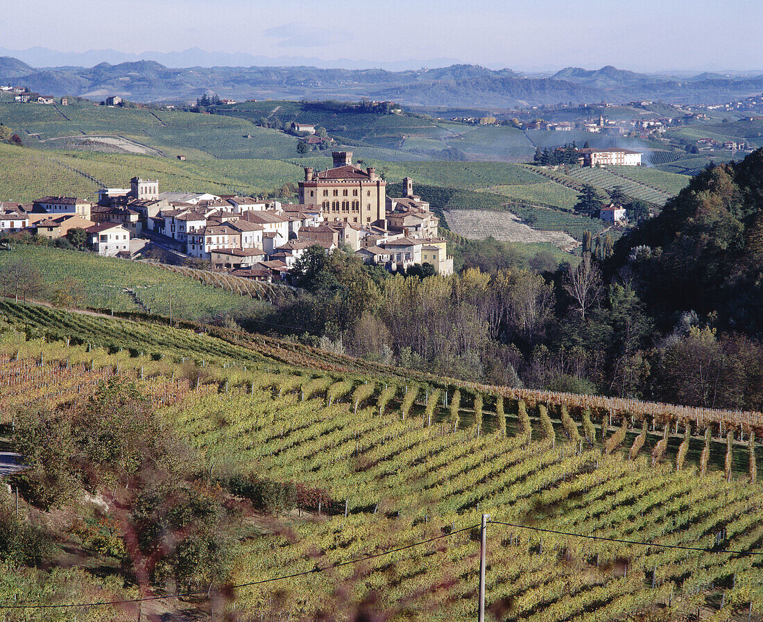 Scenic view of Barolo. Piedmont, Italy