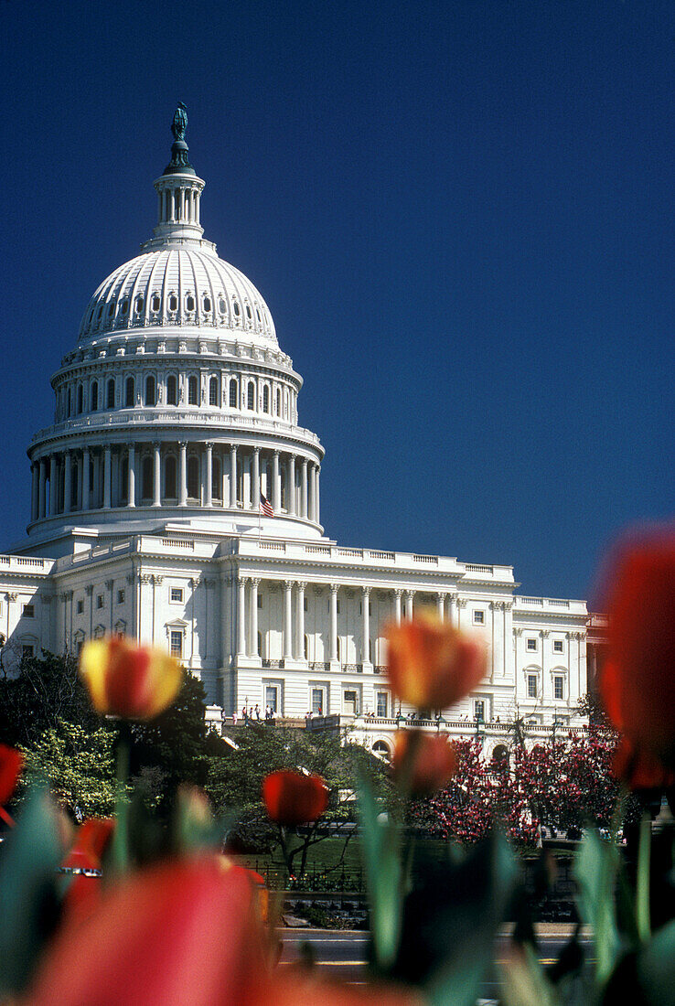 Capitol Building. Washington D.C., USA