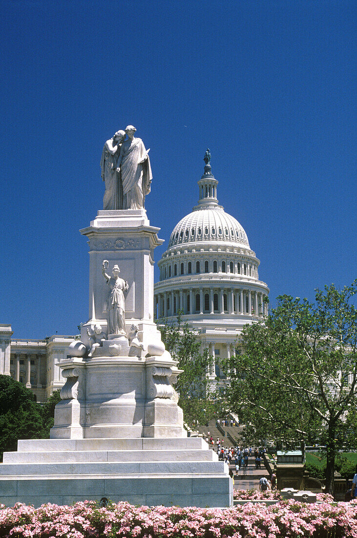 Capitol Building. Washington D.C., USA