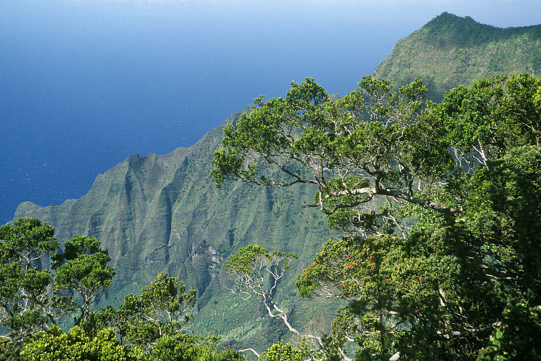 Honopu valley, Na Pali coast. Kauai, Hawaii. USA