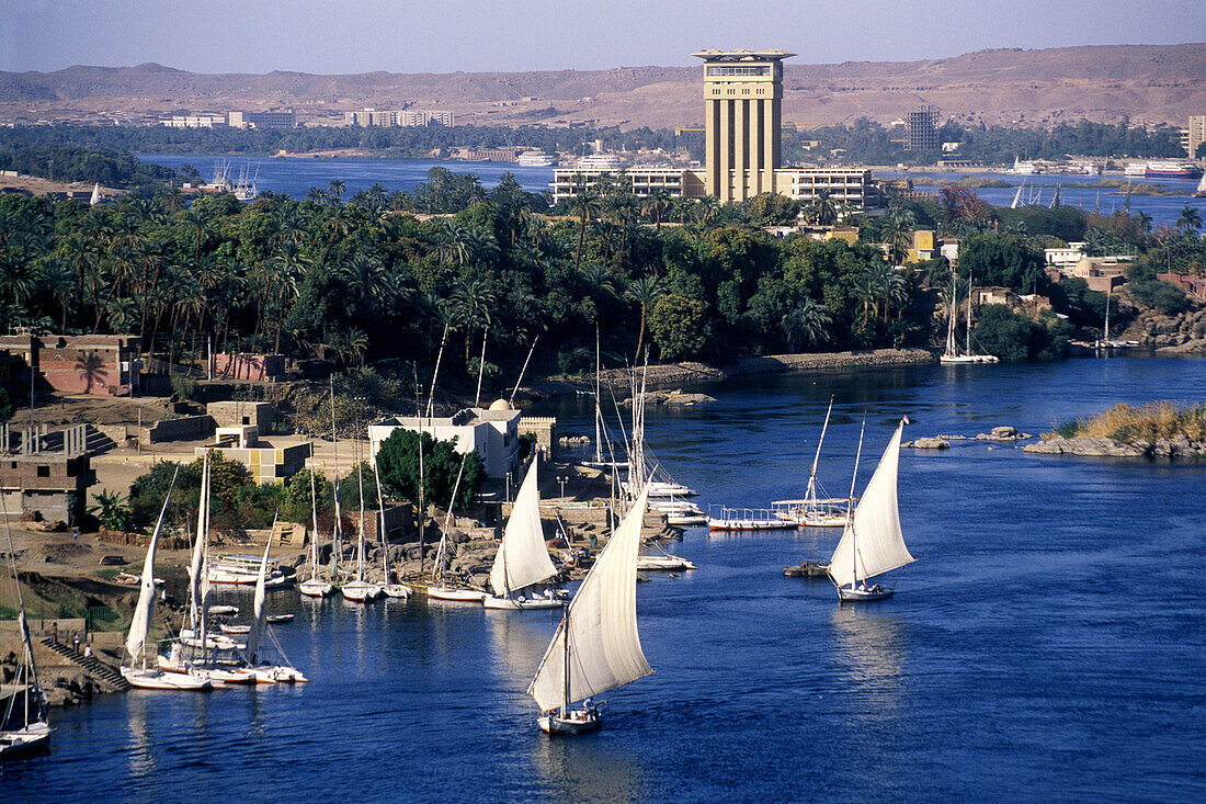 Feluccas on Nile river. Aswan. Egypt