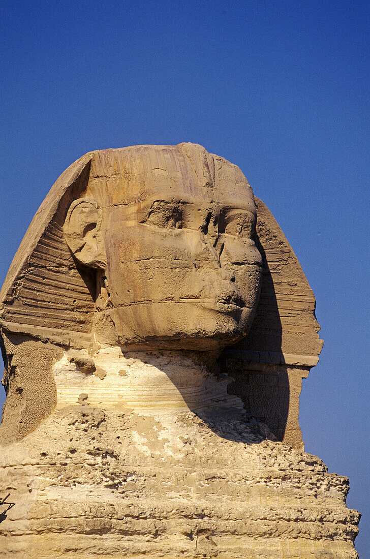 The Sphinx. Gizeh. Egypt