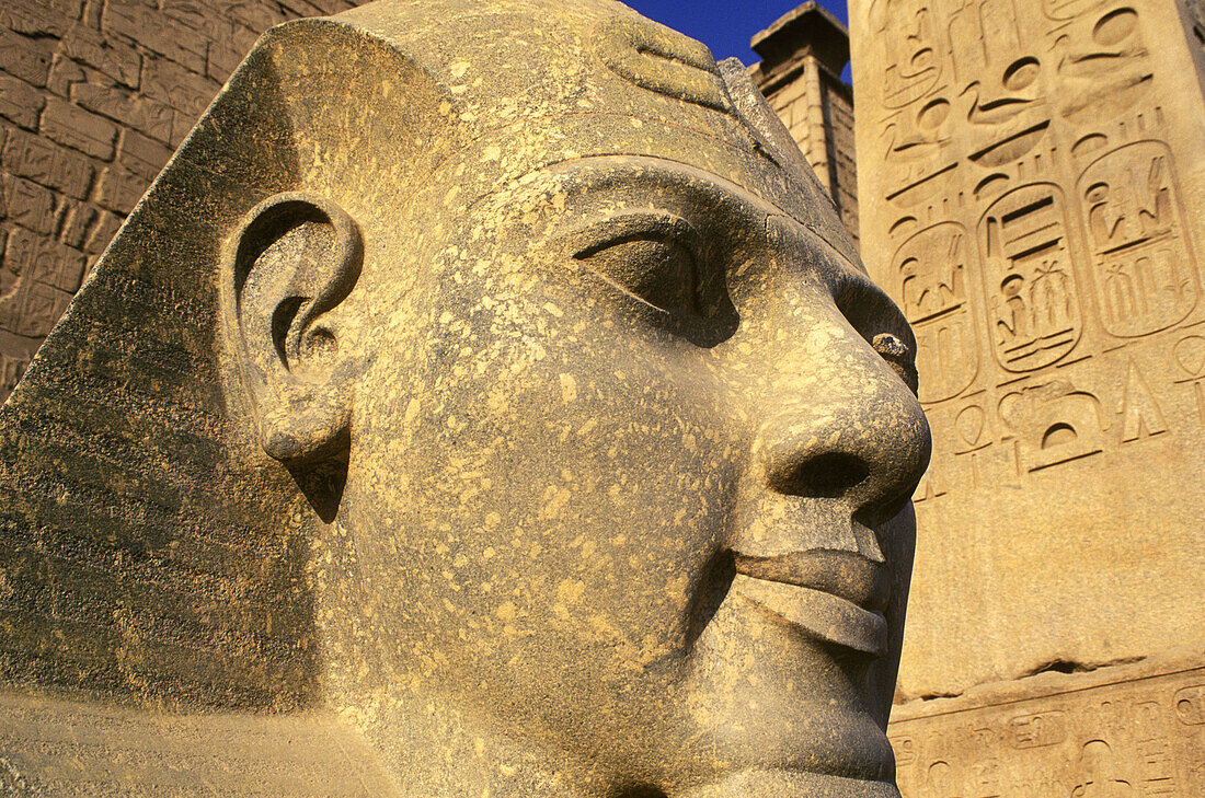 Ramses II statue, entrance to the Temple of Luxor. Egypt