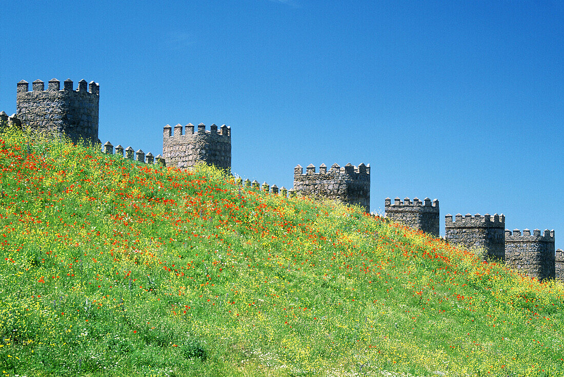 City walls. Ávila. Spain