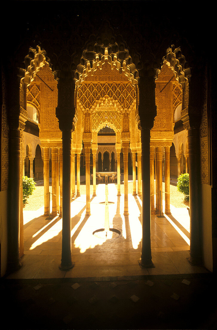 Arabic archway, Court of the Lions, Alhambra. Granada. Andalusia, Spain