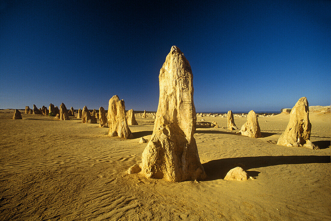 The Pinnacles, Nambung National Park. Western Australia, Australia