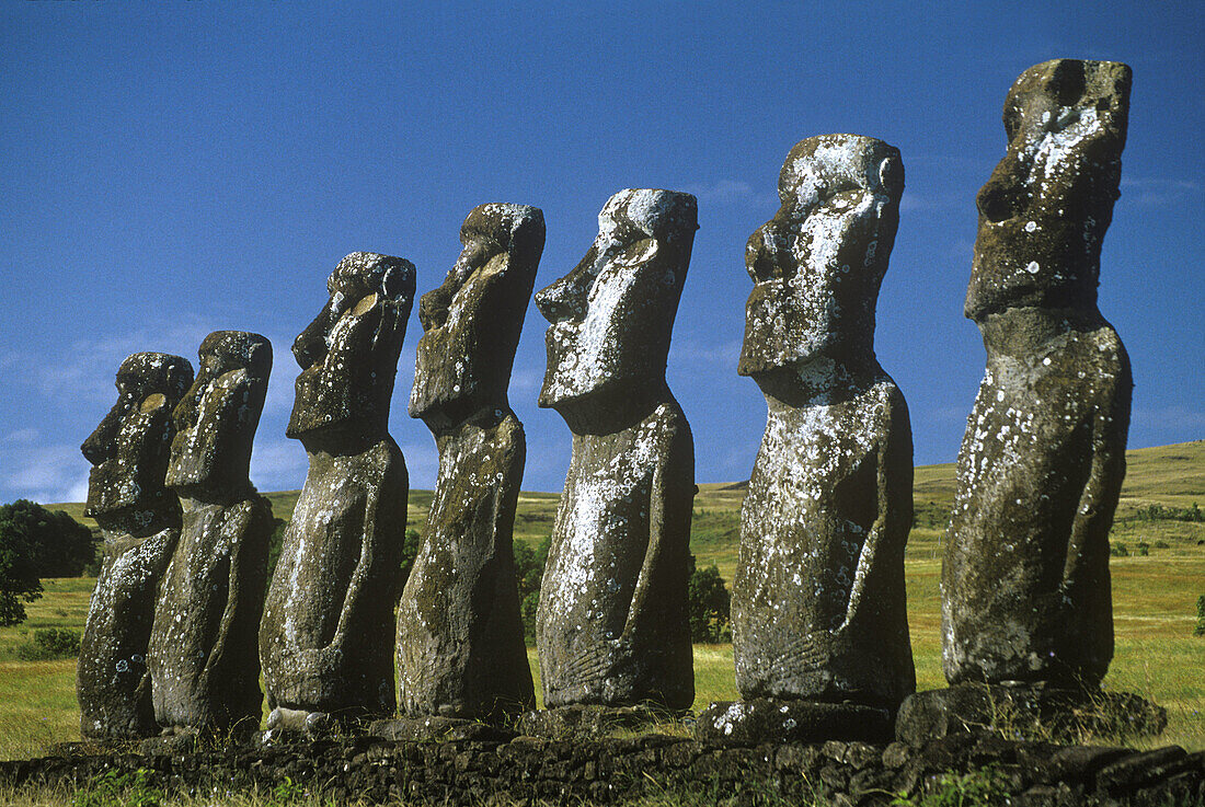 Moais at Ahu Akivi, Easter Island. Chile