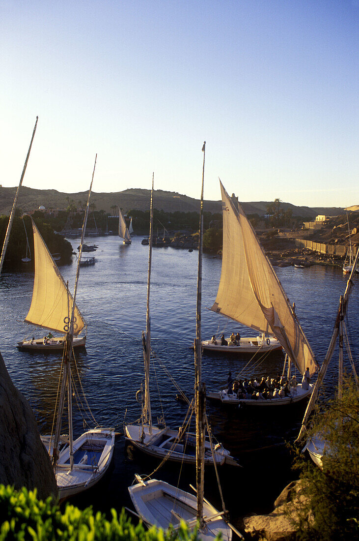 Feluccas on Nile river near Aswan. Egypt