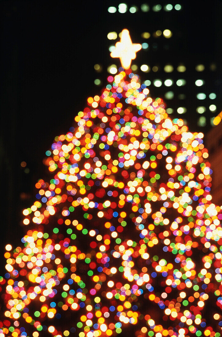 Full view of a christmas tree topped with a white star with lights at night in a city setting