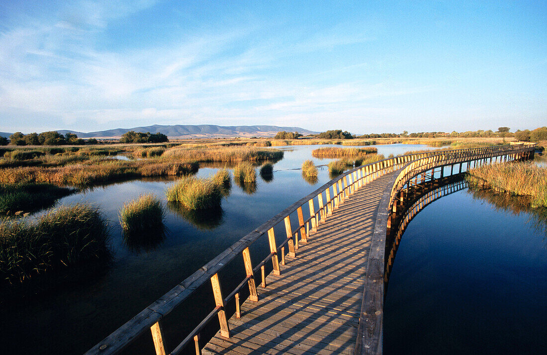 Tablas de Daimiel National Park in Ciudad Real province. Castilla la Mancha. Spain