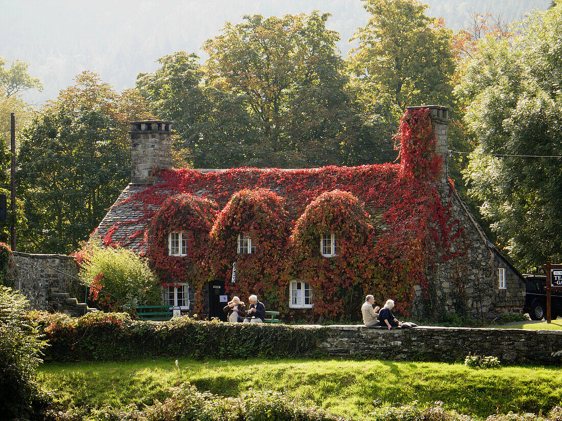 Cottage Tea Room, Llanrwst, Gwynedd, Wales