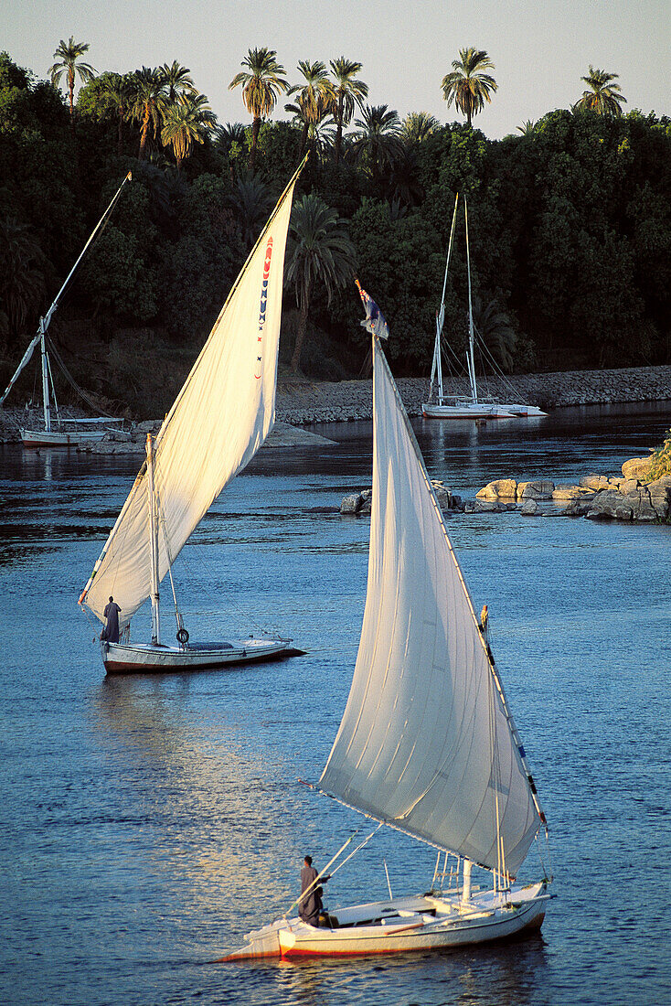 Feluccas on Nile River. Aswan. Egypt