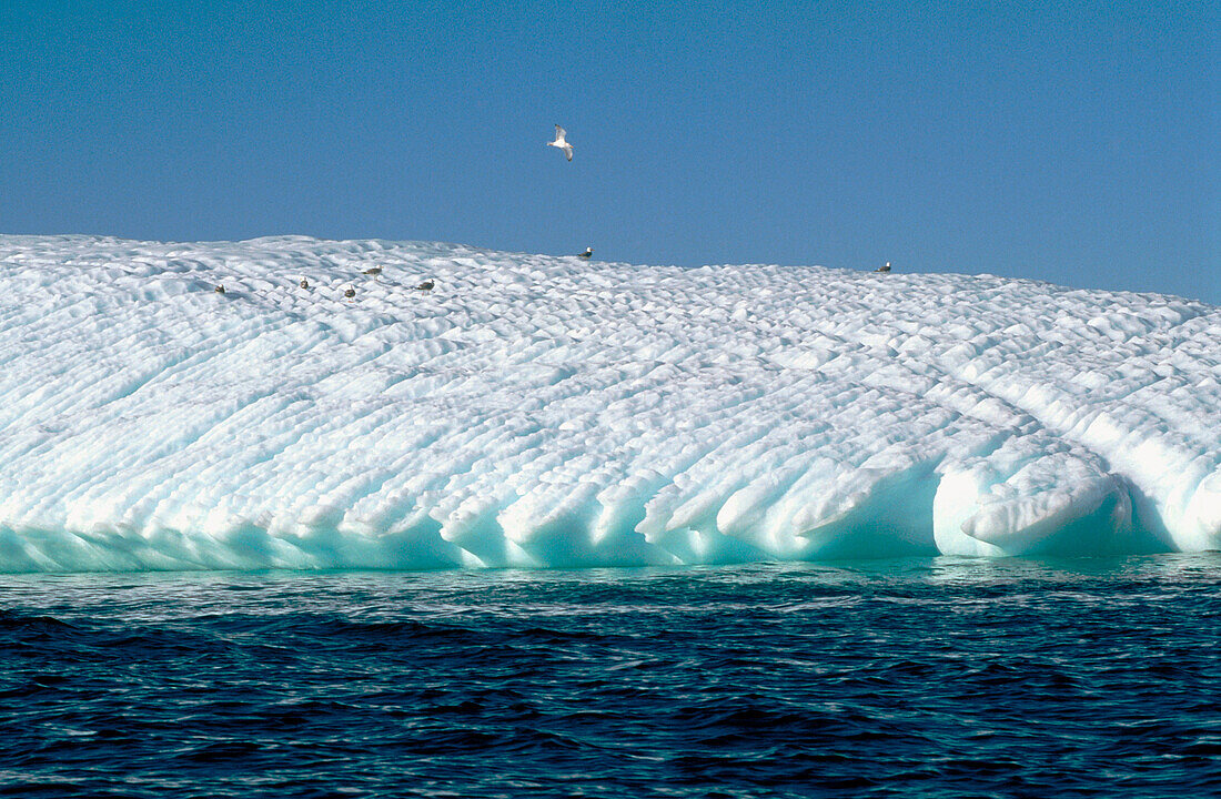 Iceberg in Bonavista Bay. Newfoundland and Labrador. Canada