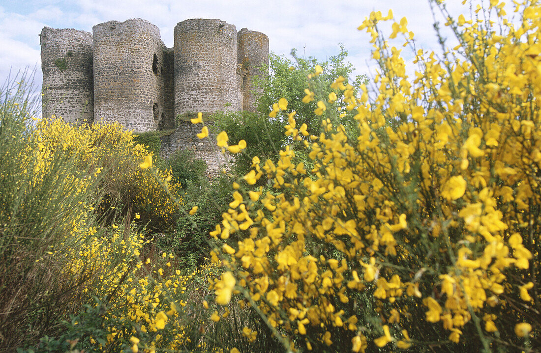 Domeyrat Castle. Haute Loire. Auvergne. France