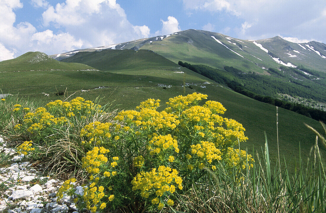 Monti Sibillini National Park. Marche. Italy
