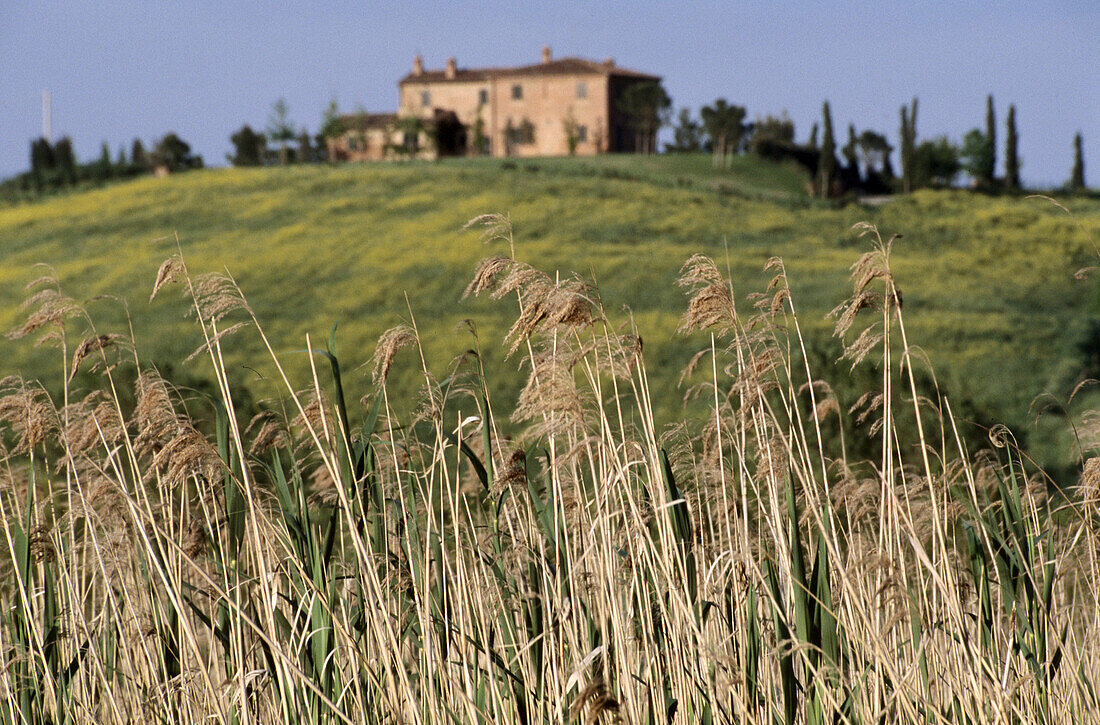 Tuscany landscape near Montepulciano. Italy