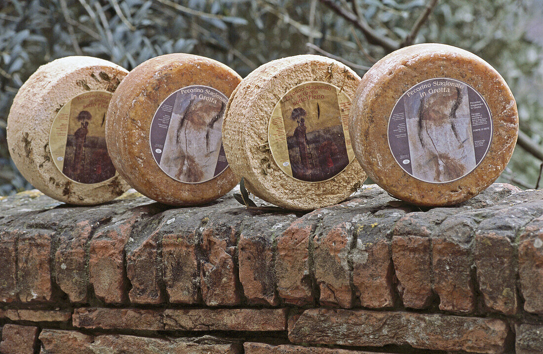 Pecorino sheep cheeses. Certaldo Alta. Tuscany, Italy