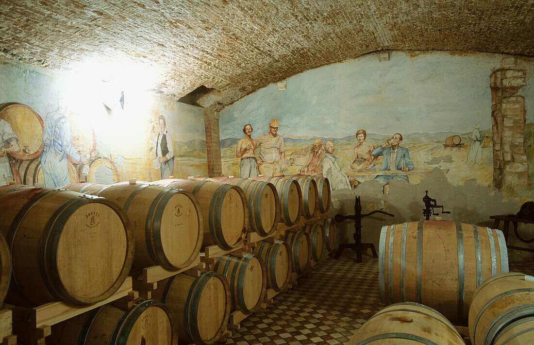 Wine cellars. Villanova di Farra, Farra d Isonzo. Collio region. Friuli-Venezia Giulia, Italy