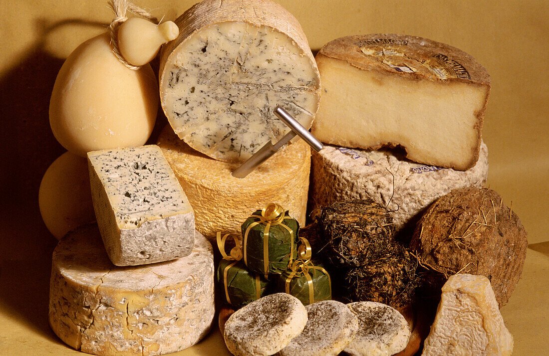 Cheeses, I Formaggi di Franco Parola, Casa del Parmigiano. Saluzzo. Piedmont, Italy