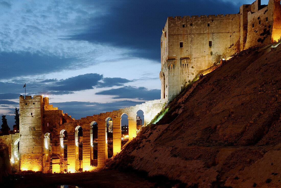 Aleppo citadel, Syria