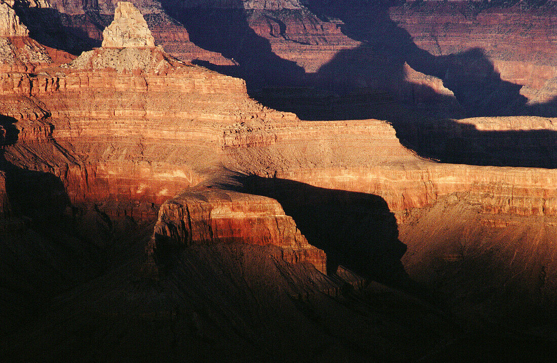 The Grand Canyon at sunset. Arizona. USA