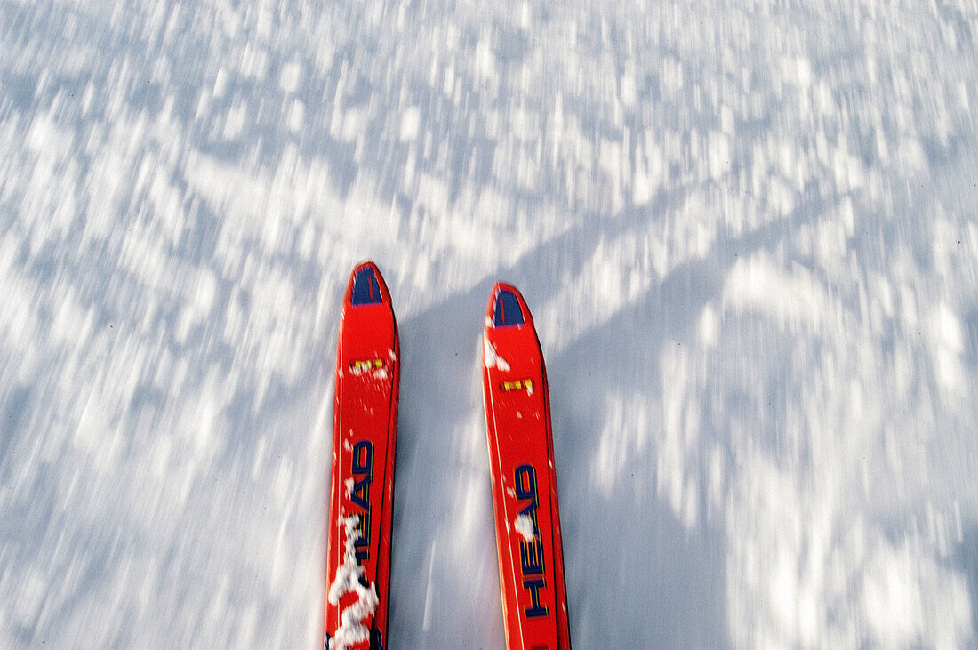 Skis in the snow during the downhill drive