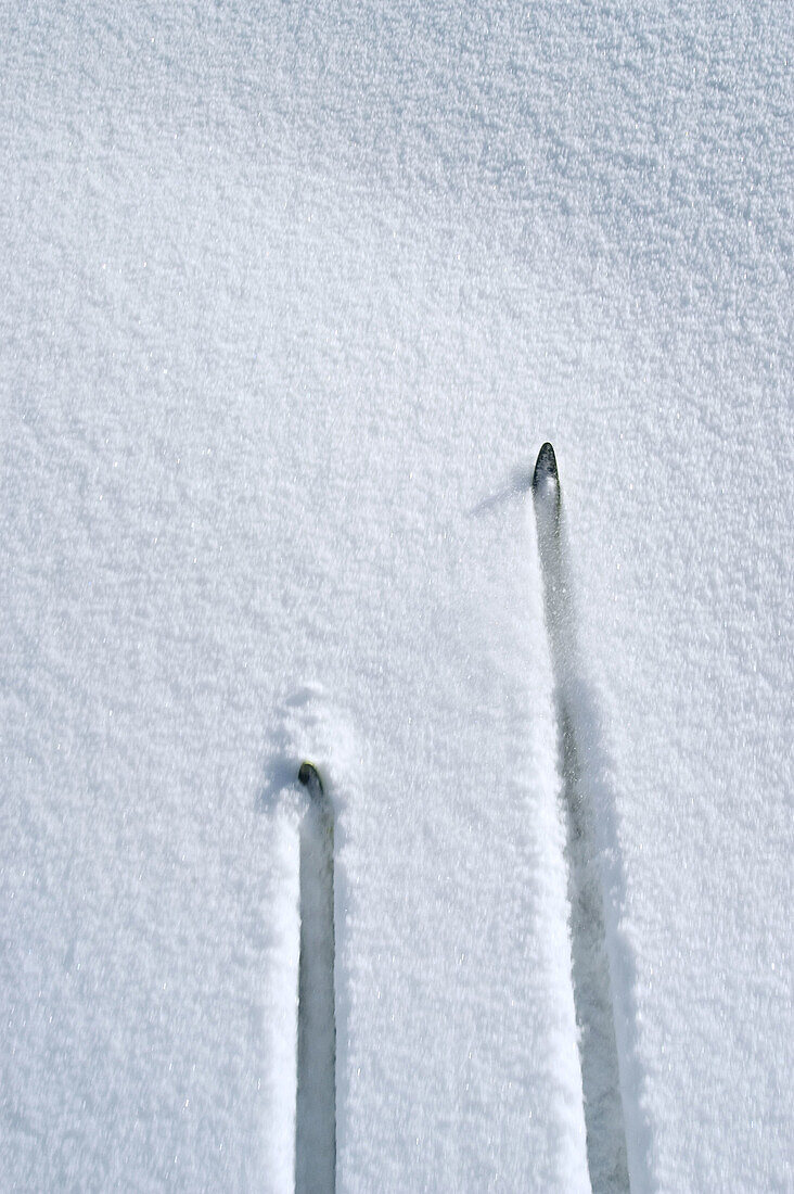 Ski tips of cross-country skis in the snow during the drive