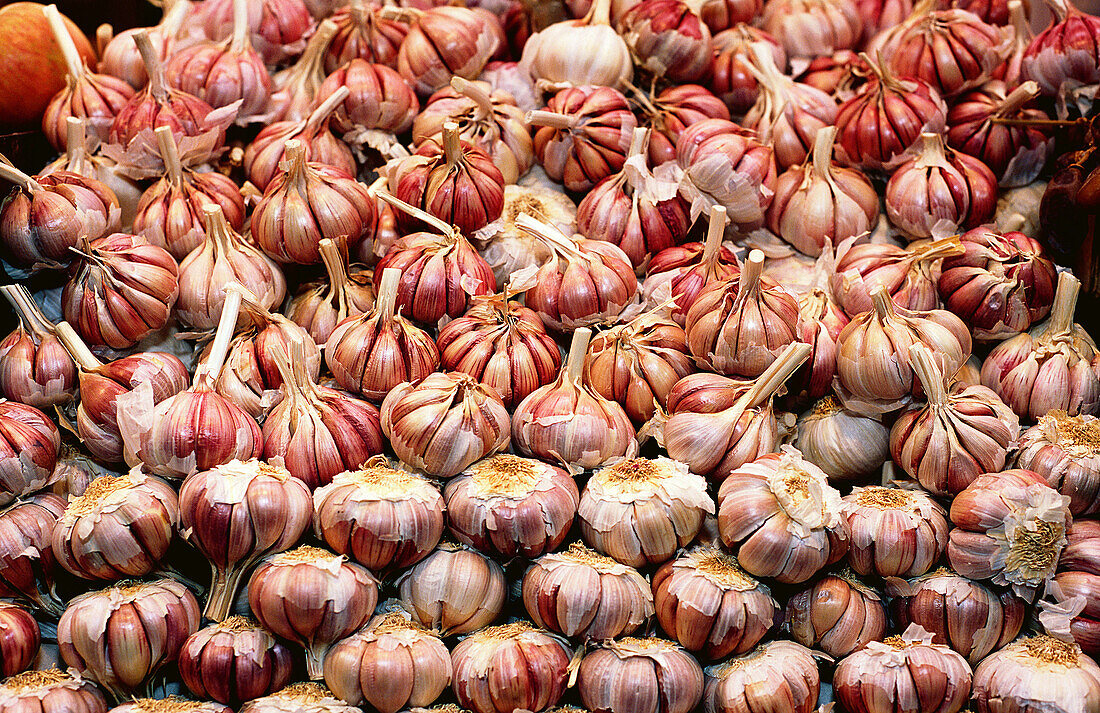 Spain, Catalunya, Barcelona. Garlic.