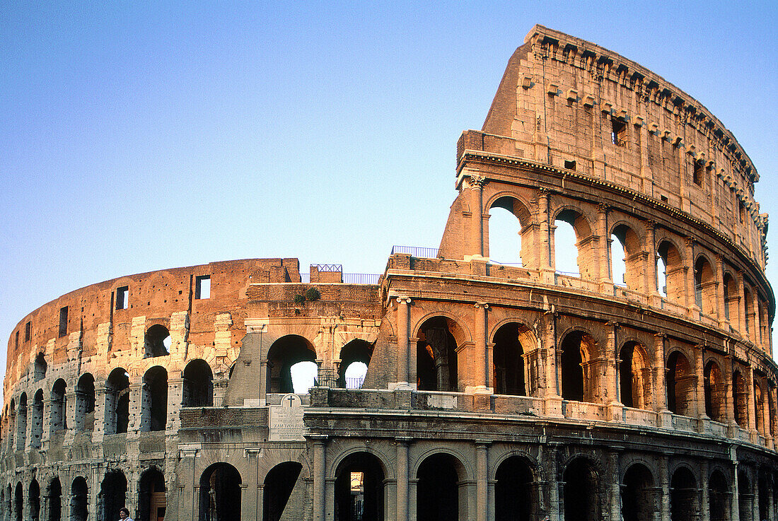 Colosseum. Rome. Italy.
