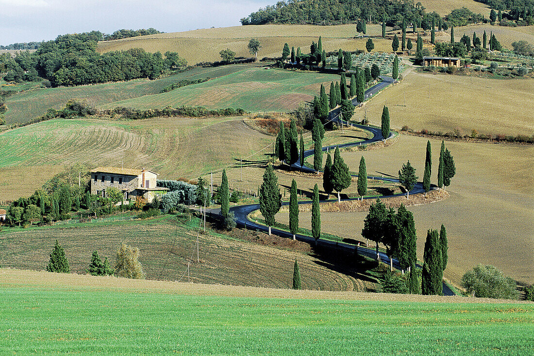Crete Farms and Country. Siena County. Tuscany. Italy.