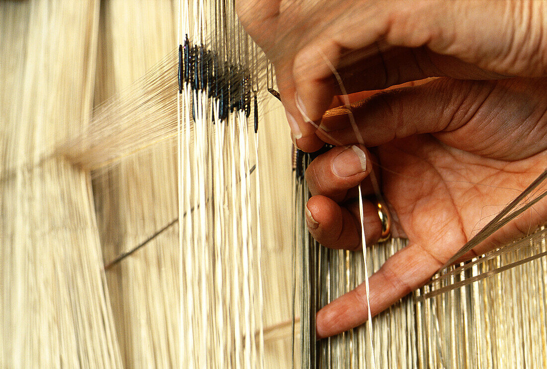 Bevilacqua. Fabric. Cut velvet weaver. Venice. Veneto. Italy.