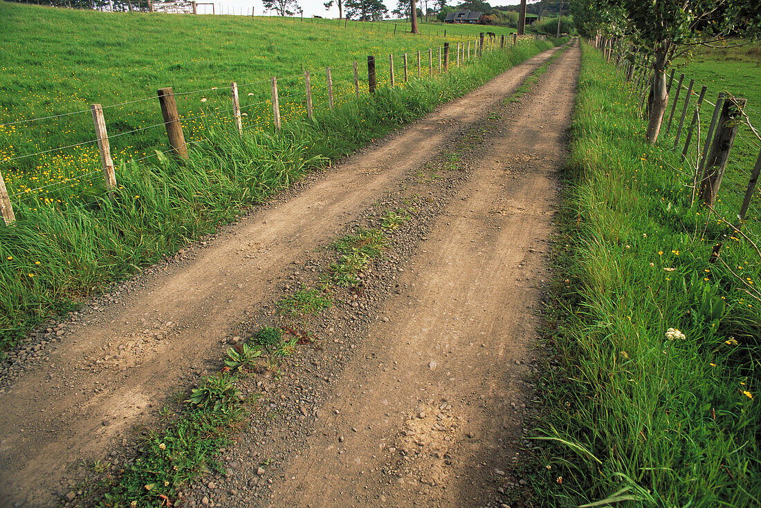 Country path in New Zealand